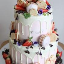 Polka Dot Bride wedding photo - Polka Dot Bride