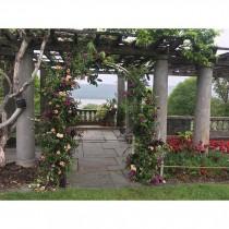 Poppies & Posies wedding photo - Poppies & Posies