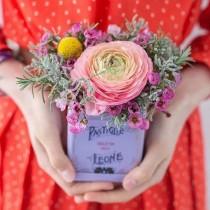 Wedding Ideas wedding photo - Wedding Ideas