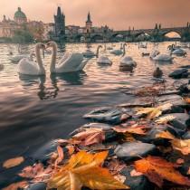Wonderful Places wedding photo - Wonderful Places