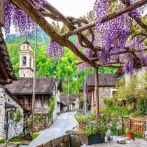 Worldplaces Tour wedding photo - Worldplaces Tour