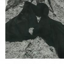 Vera Wang wedding photo - Vera Wang