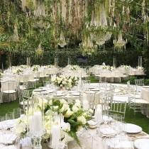 Wedding Dream wedding photo - Wedding Dream