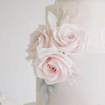 Tracy James wedding photo - Tracy James