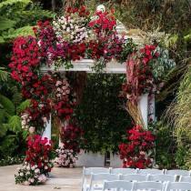 Wedding Dream wedding photo - Wedding Dream