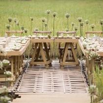 Wedding Dream wedding photo - Wedding Dream