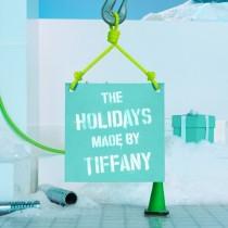 Tiffany & Co. wedding photo - Tiffany & Co.
