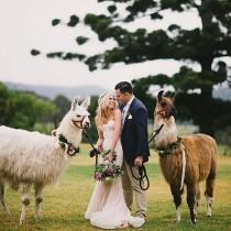 OneFabDay wedding photo - OneFabDay