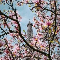 Worldplaces Tour wedding photo - Worldplaces Tour