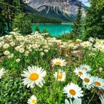 Best Places To Go wedding photo - Best Places To Go