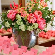Amaryllis Inc. wedding photo - Amaryllis Inc.