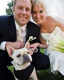 wedding photo - Mit Haustiere