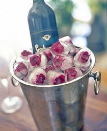 wedding photo -  Eiswürfel mit Blumen/Obst