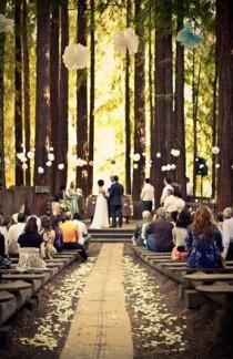 wedding photo -  Rustic Wedding Decor