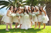 wedding photo - الكرمل / الشمبانيا لوحات الزفاف اللون
