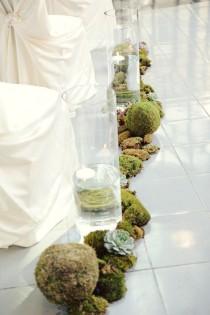 wedding photo -  ديكور الزفاف