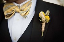 wedding photo - бабочкой